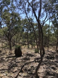 943 Gulf Road Emmaville NSW 2371 - Image 3