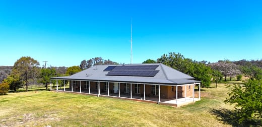 681 Burgoon Lane Molong NSW 2866 - Image 2
