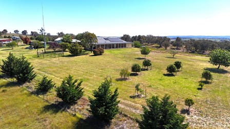 681 Burgoon Lane Molong NSW 2866 - Image 3
