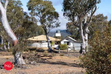388 Peak View Rd Numeralla NSW 2630 - Image 1