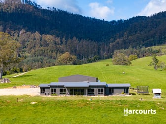 92 Petterwood Rd Trenah TAS 7263 - Image 1