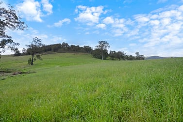 1525 Fosterton Road Fosterton NSW 2420 - Image 3