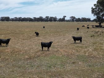 5047 Murray Valley Highway Norong VIC 3682 - Image 2