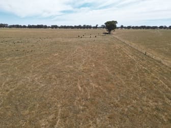 5047 Murray Valley Highway Norong VIC 3682 - Image 3