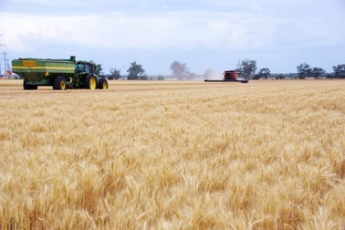 256 Bald Hill Road Narrabri NSW 2390 - Image 3