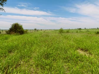 Surat QLD 4417 - Image 1