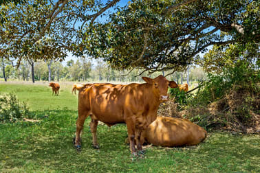 177 Mutdapilly Dip Road Mutdapilly QLD 4307 - Image 3