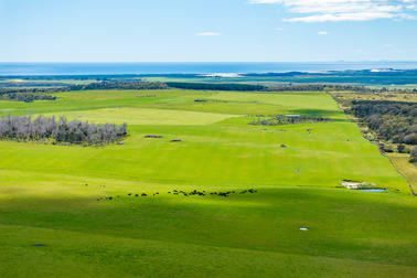 . Waterhouse Road Boobyalla TAS 7264 - Image 1