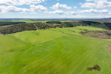 . Waterhouse Road Boobyalla TAS 7264 - Image 3