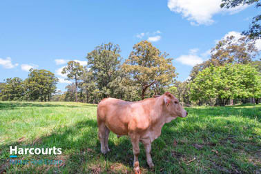 546 Minimbah Road Minimbah NSW 2312 - Image 2