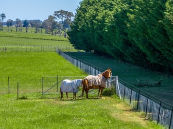 1601 Wheeo Road Crookwell NSW 2583 - Image 1