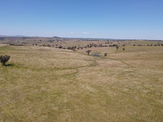 250 Emu Creek Road Canowindra NSW 2804 - Image 2
