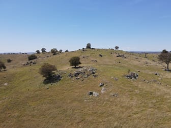 250 Emu Creek Road Canowindra NSW 2804 - Image 3