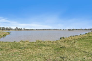 161 Sweedman Road Millmerran QLD 4357 - Image 3