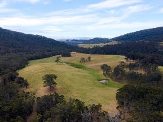 276 Little Careys Trail Candelo NSW 2550 - Image 1