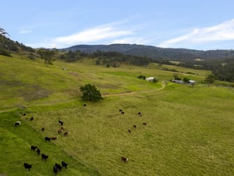 276 Little Careys Trail Candelo NSW 2550 - Image 2