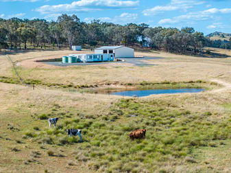 3705 Frogmore Road Hovells Creek NSW 2794 - Image 3