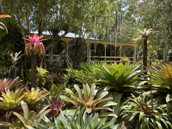 447 Terania Creek Road The Channon NSW 2480 - Image 1