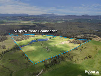 Lot 1 Cornelius Road Sassafras TAS 7307 - Image 1