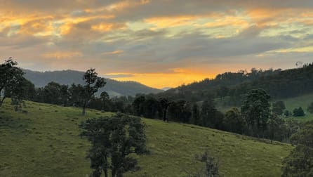 "Bridlevale" 83 Nuggety Gully Rd Nowendoc NSW 2354 - Image 2