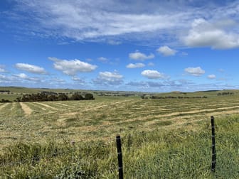 Cnr Glenelg Highway and Denhills Road Coleraine VIC 3315 - Image 1