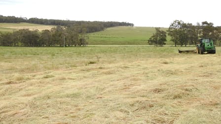 Lot 102 Jindong-Treeton Road Osmington WA 6285 - Image 1