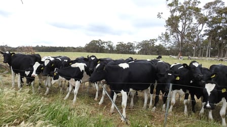 Lot 102 Jindong-Treeton Road Osmington WA 6285 - Image 2