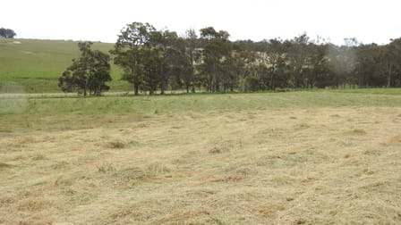 Lot 102 Jindong-Treeton Road Osmington WA 6285 - Image 3