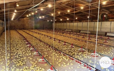 Click to view all images Loch VIC 3945 - Image 3