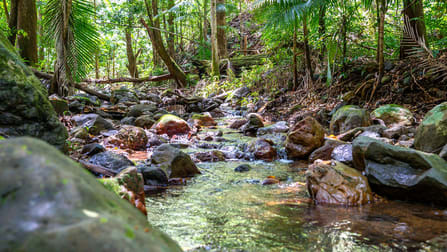 183 Killabakh Creek Road Killabakh NSW 2429 - Image 1