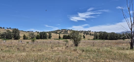 46 Worlds End Rd Yarrabin NSW 2850 - Image 2
