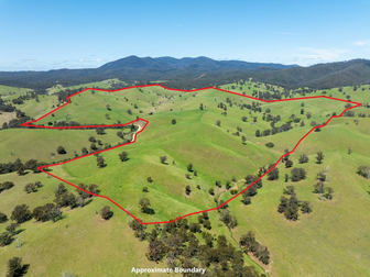 244 Buchan Ensay Road Reedy Flat VIC 3895 - Image 1