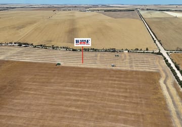 Lot 318 & 319 Ferguson Rd Weetulta SA 5573 - Image 2