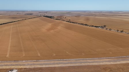 Lot 318 & 319 Ferguson Rd Weetulta SA 5573 - Image 3