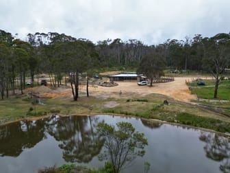 106 Warra Forest Road Mount Mitchell NSW 2365 - Image 1
