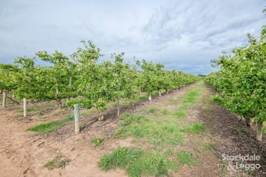 170 Prentice Road Orrvale VIC 3631 - Image 2