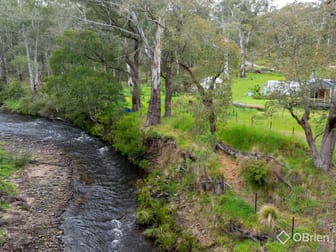 234 Timbarra Settlement Road Buchan VIC 3885 - Image 1