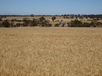 Bolts Road Wagin WA 6315 - Image 1