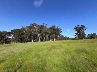 173 Walter Road Scotsdale WA 6333 - Image 2