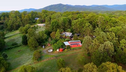 19 Greensill Lane Kobble Creek QLD 4520 - Image 1