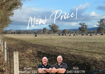 43 Robinson Road Violet Town VIC 3669 - Image 1