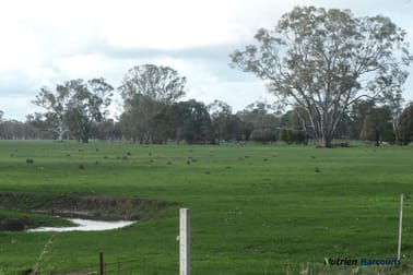 43 Robinson Road Violet Town VIC 3669 - Image 2