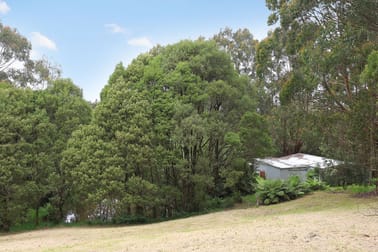 5035 Great Ocean Road Lavers Hill VIC 3238 - Image 3