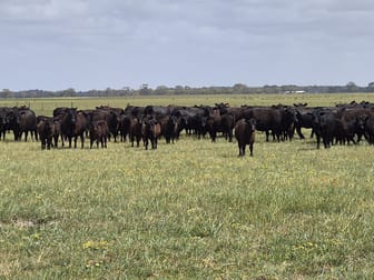 Murra Murra, 2866 Fisheries Road Merivale WA 6450 - Image 1