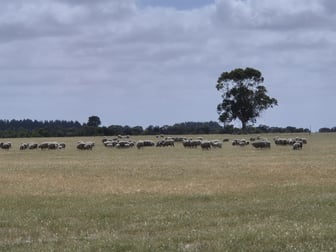 Murra Murra, 2866 Fisheries Road Merivale WA 6450 - Image 2
