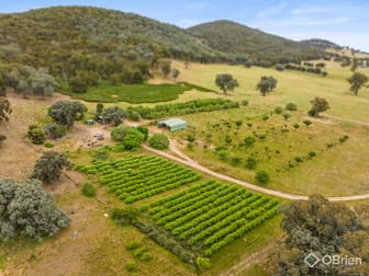 354 Glenrowan-Moyhu Road Glenrowan VIC 3675 - Image 2