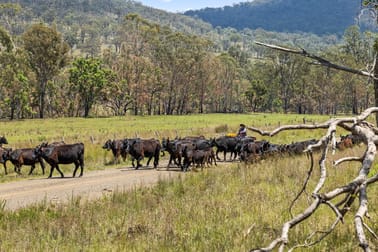 1719 Pilton Valley Road Clifton QLD 4361 - Image 2