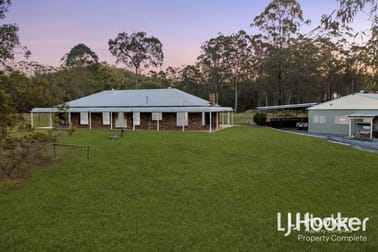 803-843 Quinzeh Creek Road Cedar Creek QLD 4207 - Image 1