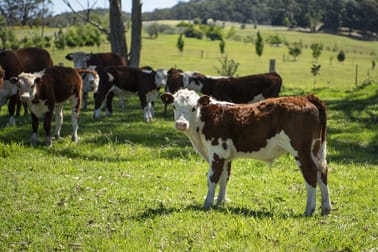 41, 271 Lemon Tree Creek Road Termeil NSW 2539 - Image 1