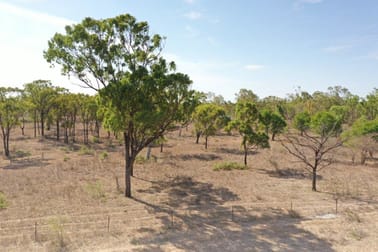 Lot 1 Old Dalrymple Road Breddan QLD 4820 - Image 2